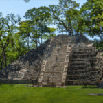 Contrato del Peabody Museum con Honduras 18 conejo