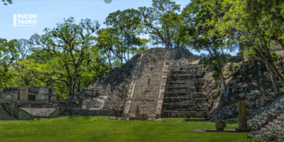 Contrato del Peabody Museum con Honduras 18 conejo