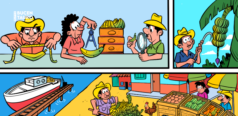 banano, mínimo, guineo en Honduras Garabatos
