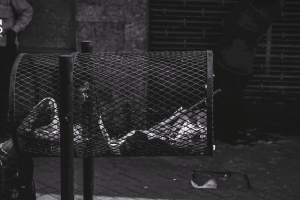 La ciudad que no entra en la postal 1 Bucentauro