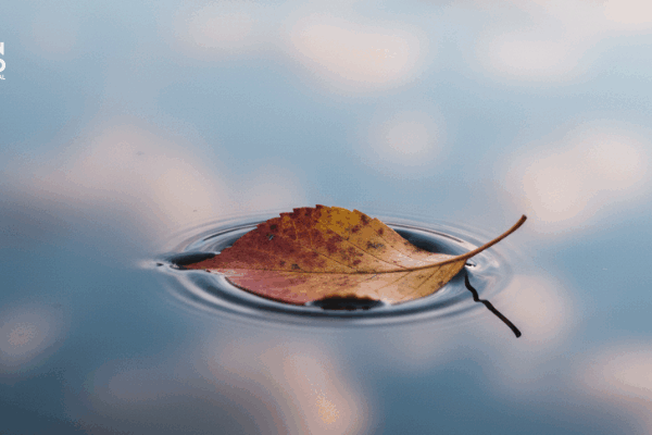 la izquierda ya no es poética