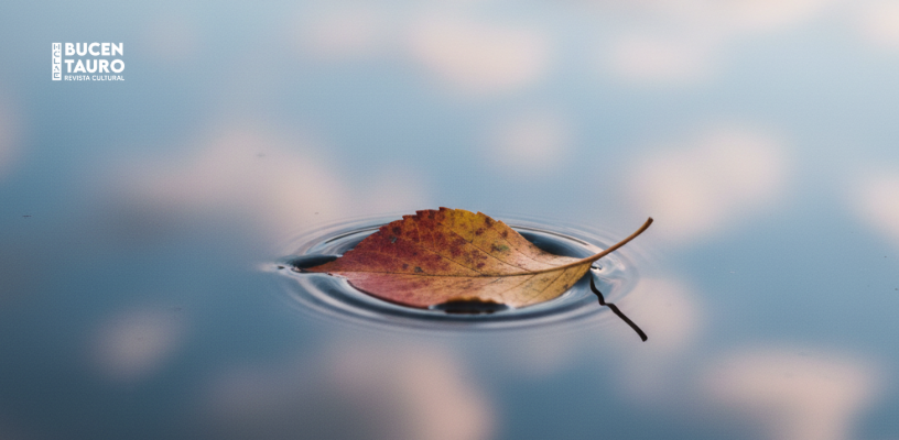 la izquierda ya no es poética